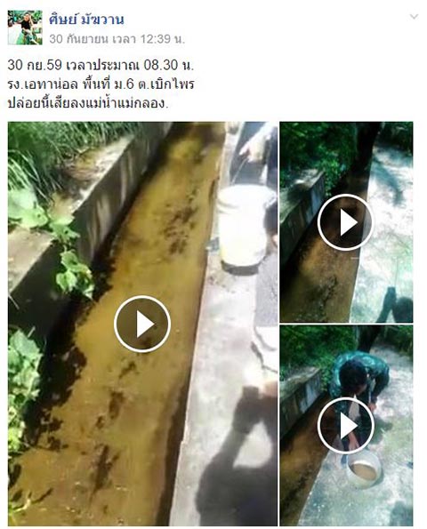 ปลากระเบนราหู