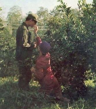 ข่าวในหลวง