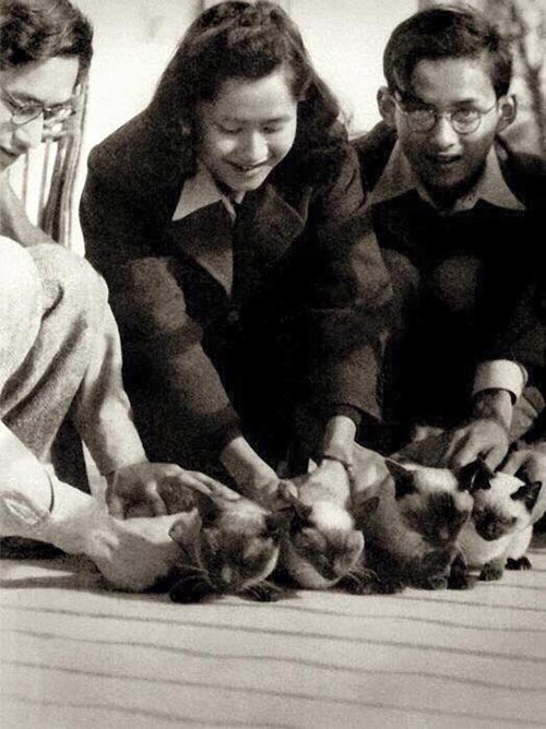 เจ้านายเล็กๆ ยุวกษัตริย์