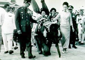 ช้างเผือก รัชกาลที่ 9