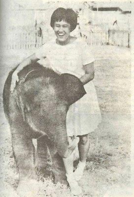 ช้างเผือก รัชกาลที่ 9