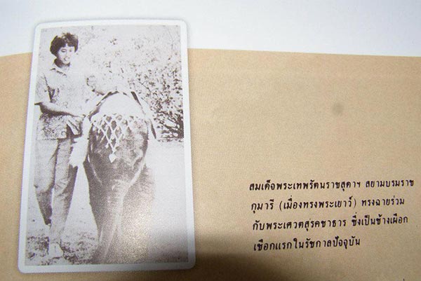 ช้างเผือก รัชกาลที่ 9