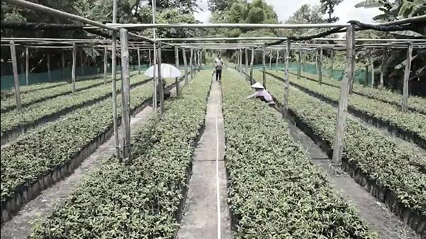 ชาวบ้านห้วยยาง