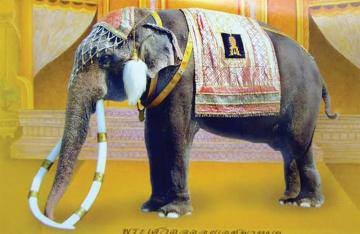 ช้างเผือก คู่พระบารมี