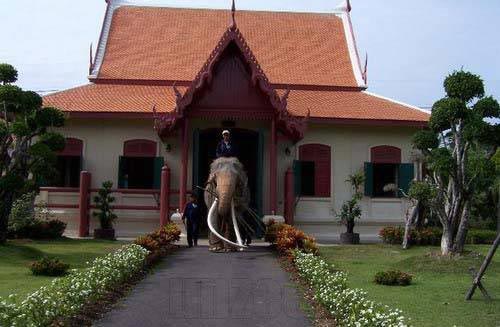 ช้างเผือก คู่พระบารมี