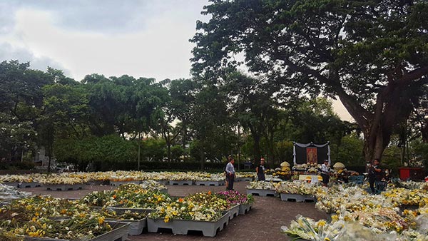 สักการะพระบรมศพ