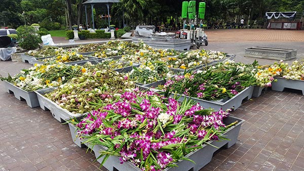 สักการะพระบรมศพ