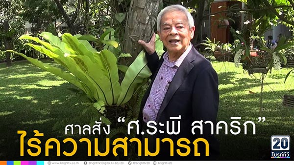 ศ.ระพี สาคริก