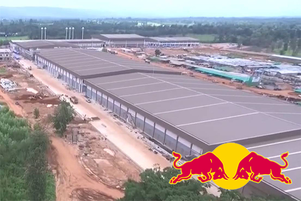 กระทิงแด