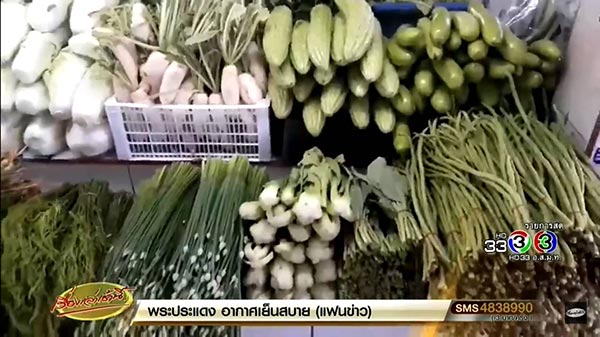 กินเจ 2560