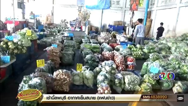 กินเจ 2560