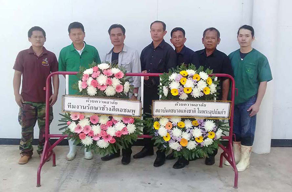 พลายชมพู