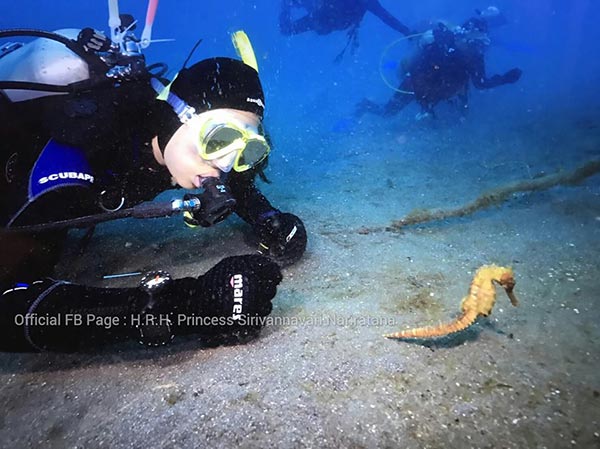 พระองค์หญิงสิริวัณณวรี