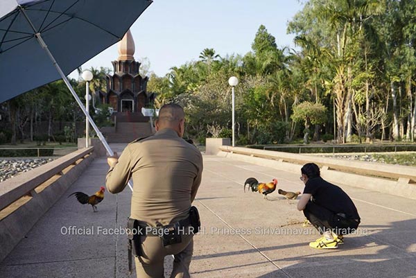 พระองค์หญิงสิริวัณณวรี