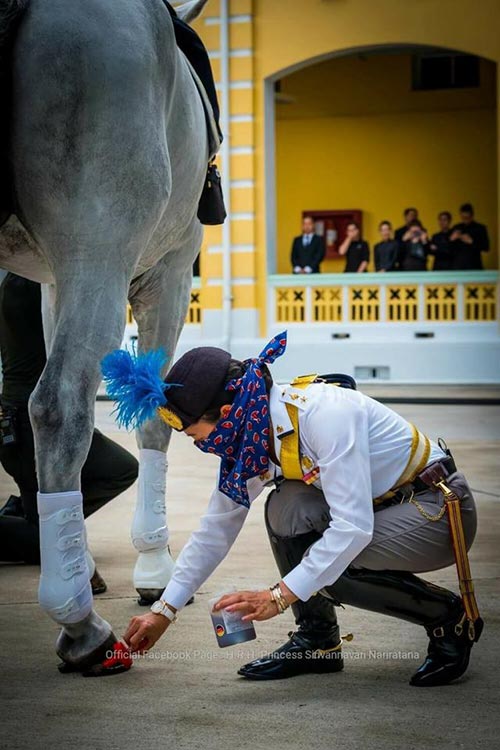 พระองค์หญิงสิริวัณณวรี