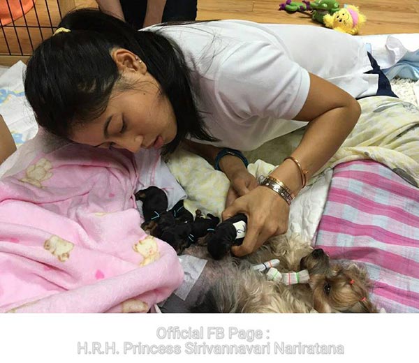 พระองค์หญิงสิริวัณณวรี