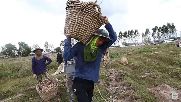 แหลม เด็กสู้ชีวิต