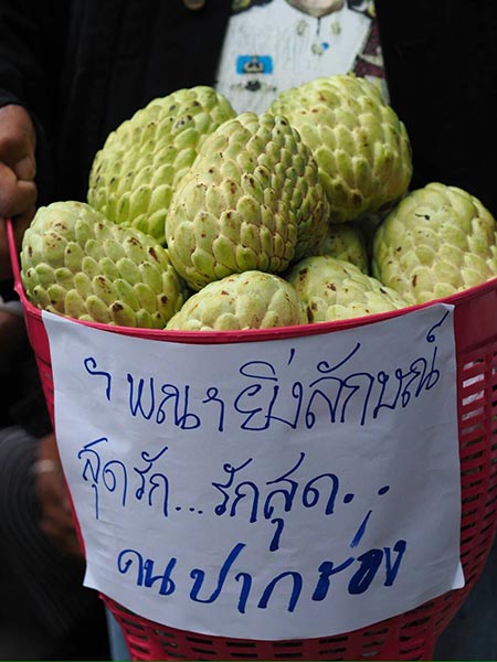 ยิ่งลักษณ์ ชินวัตร