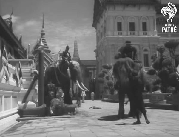 พิธีบรมราชาภิเษกในหลวง ร.9