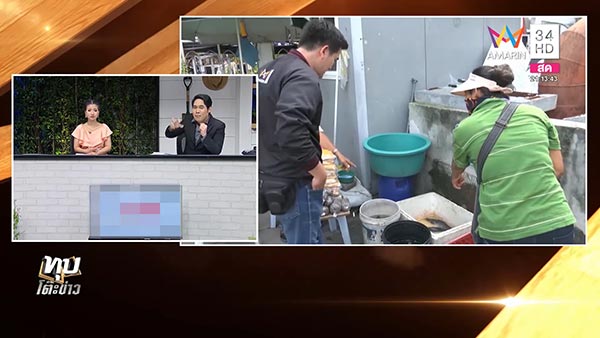 คลิปจับนกพิราบ