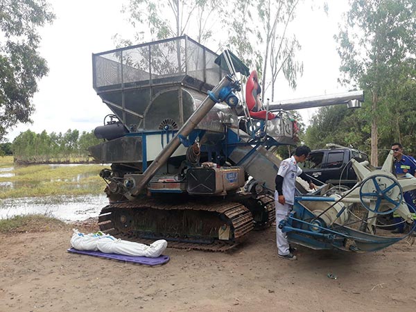 ใบพัดรถเกี่ยวข้าวสับหัว