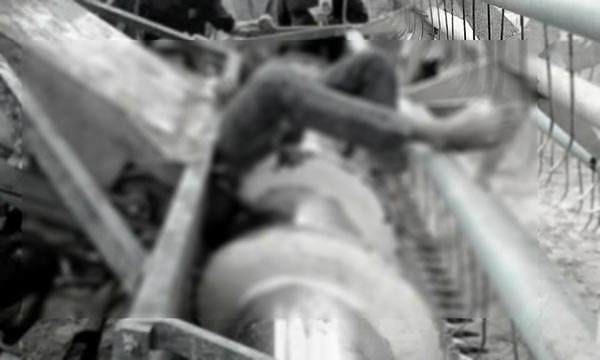 ใบพัดรถเกี่ยวข้าวสับหัว