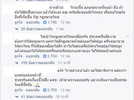 ลอบตัดไม้พยุง