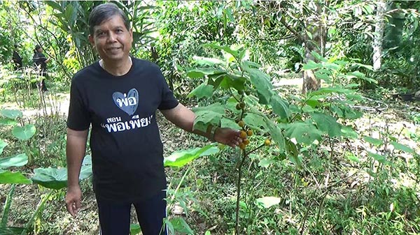 เกษตรพอเพียง