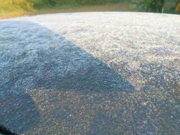 เหมยขาบ