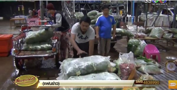 ใบกะเพรา