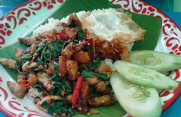 กะเพราถาดยักษ์