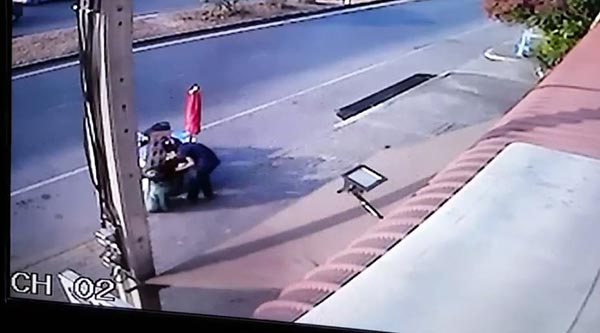 ปล้นพ่อค้า