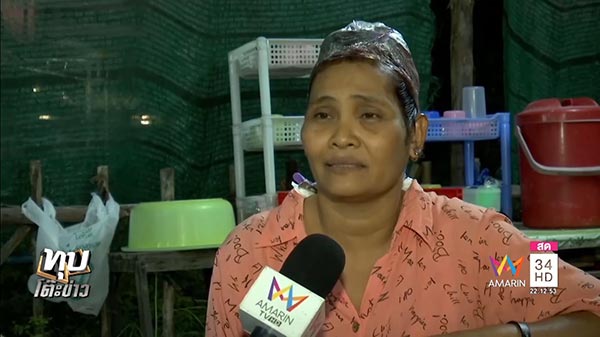 แมลงสาบในก๋วยเตี๋ยว