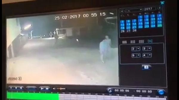 ไขขวงแทงหัว