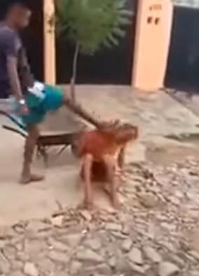 ทำร้ายกะเทย