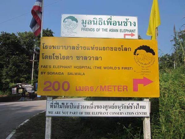 มูลนิธิเพื่อนช้าง