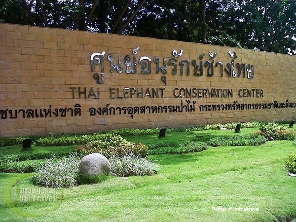 มูลนิธิเพื่อนช้าง