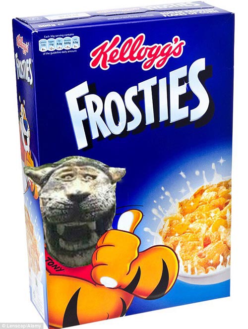 ตัดต่อภาพ