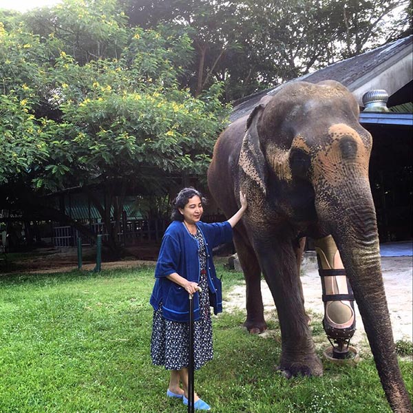 มูลนิธิเพื่อนช้าง