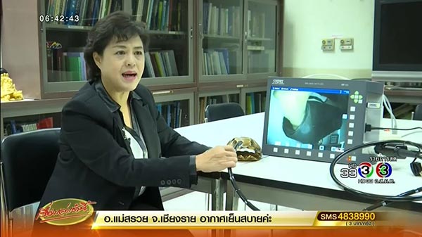 เต่าออมสิน