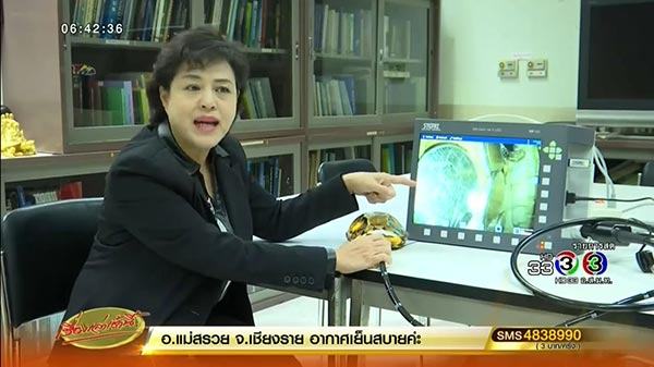 เต่าออมสิน