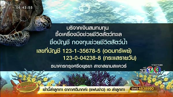 เต่าออมสิน