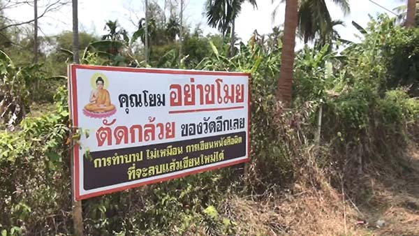 ขโมยกล้วยวัด