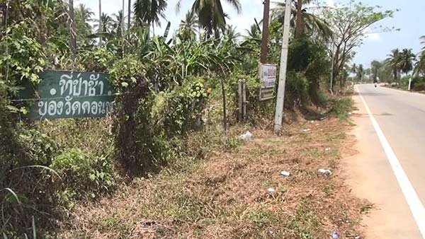 ขโมยกล้วยวัด