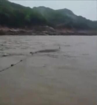 สัตว์ประหลาด