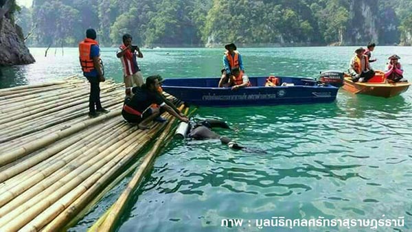 เรือท่องเที่ยวชนเรือหาปลา