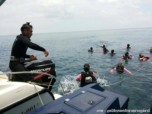 เรือท่องเที่ยวชนเรือหาปลา