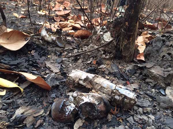 เผานั่งยาง อุดรธานี