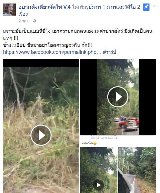 ตะโกนแกล้งช้าง