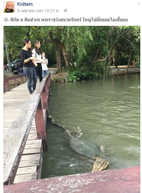 ตัวเงินตัวทอง